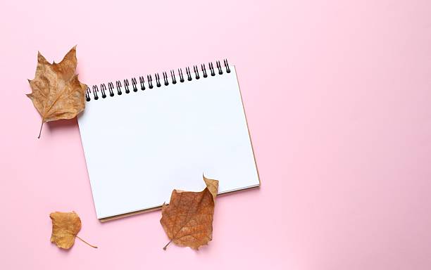 istock Autumn leaves with notebook on color background 2254276286
