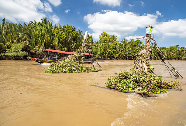 In the Mekong Delta around Bến Tre, traditional fish traps are commonly set in narrow canals and tidal rivers, using bamboo, wooden stakes, and netting arranged in funnel shapes. These traps take advantage of daily tidal flows to guide fish and shrimp into enclosed chambers where they cannot escape.