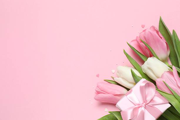 istock Beautiful fresh tulips with gift box on pink background 2254280150