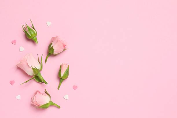 istock Beautiful composition with pink roses and hearts on a colored background 2254280217