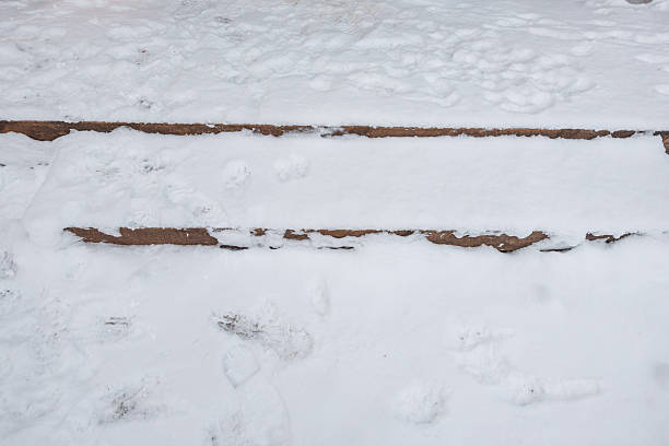 Two shallow stone steps sit under fresh snow with faint boot prints and paw marks. Brown step edges peek through as soft daylight flattens shadows and defines texture.
