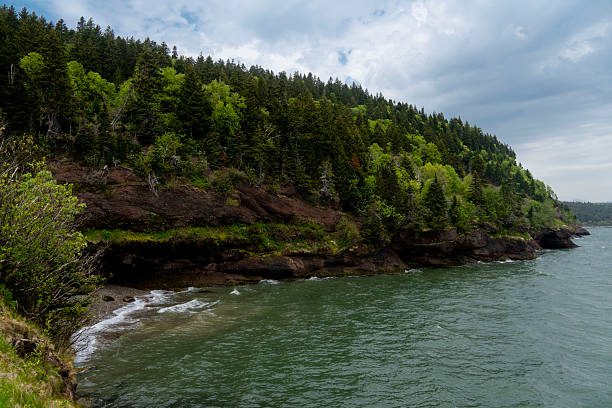 istock Forested coastal cove with cliffs in New Brunswick 2254281654
