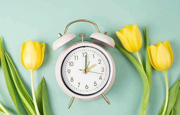 istock Alarm clock with yellow tulip flowers, switch to daylight saving time in spring, summer time changeover 2254284662