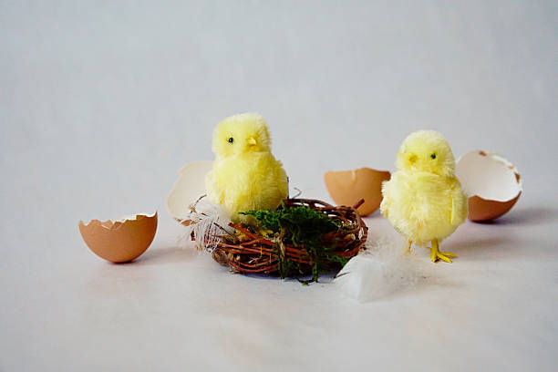 Easter decorative figures of chicks and nest made from twigs