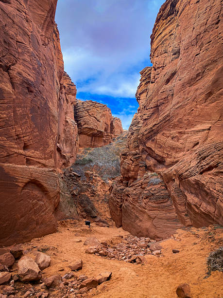 istock Vast red rock canyon with dramatic sandstone formations and a bright blue sky 2254288088