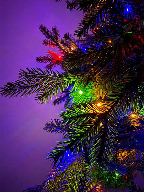 colorful tree lights at night