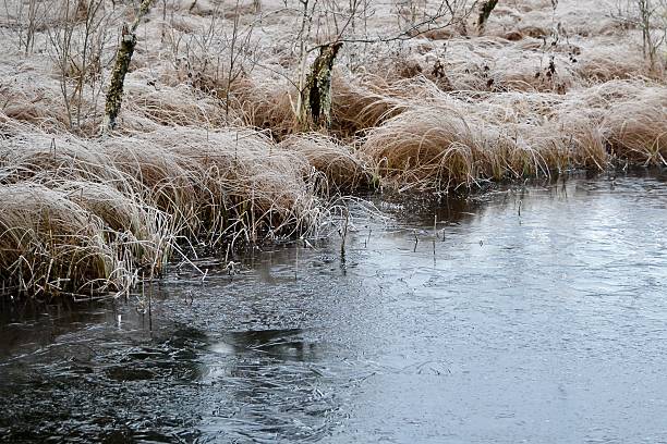 istock Frosty winter morning 2254289496