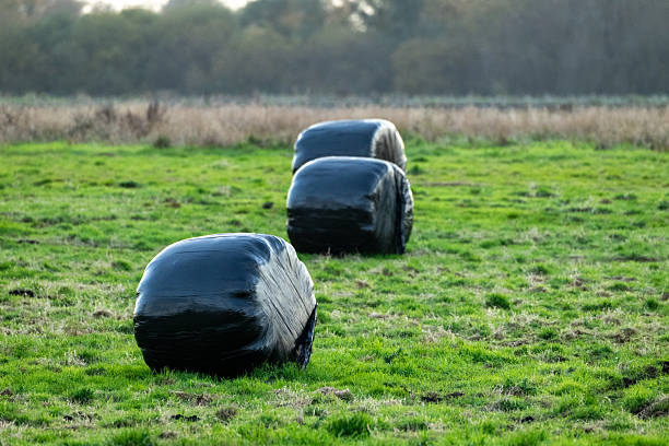 Stack of Hay Bales on a Farm