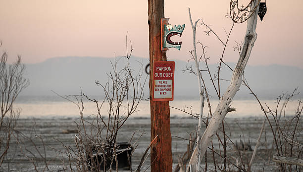 A desolate, sunset-lit beach scene at Bombay Beach with a dusty sign on a wooden post, skeletal branches, and calm water in the distance, conveying solitude and quiet reflection.