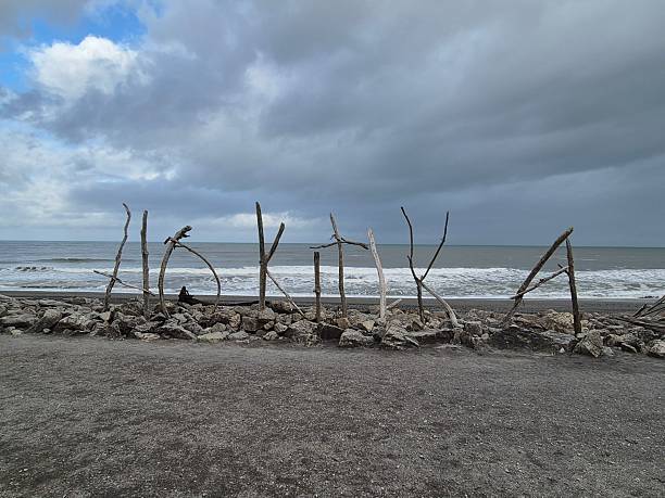 istock West Coast Beach, New Zealand 2254297468