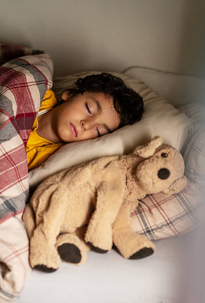 istock Peaceful little boy sleeping in bed with a stuffed dog toy 2254299070