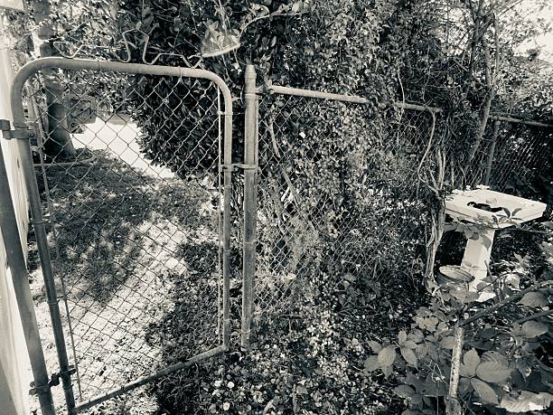 An antique washbasin repurposed as a decorative garden element next to a chain-link gate in Carlsbad, CA.