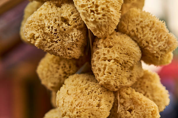 A close-up shot of several natural sea bath sponges hanging together, emphasizing their rough, porous texture against a blurred, colorful background, likely found at a market stall in Greece or a Mediterranean location.