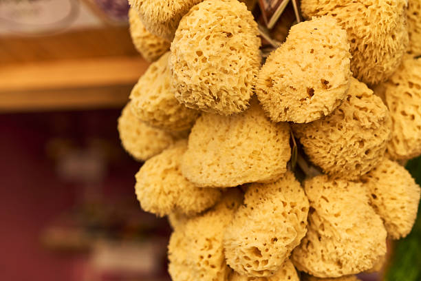 A close-up shot of a visually appealing cluster of natural sea sponges hanging for sale, displaying their porous, beige texture against a warm, blurred retail background.