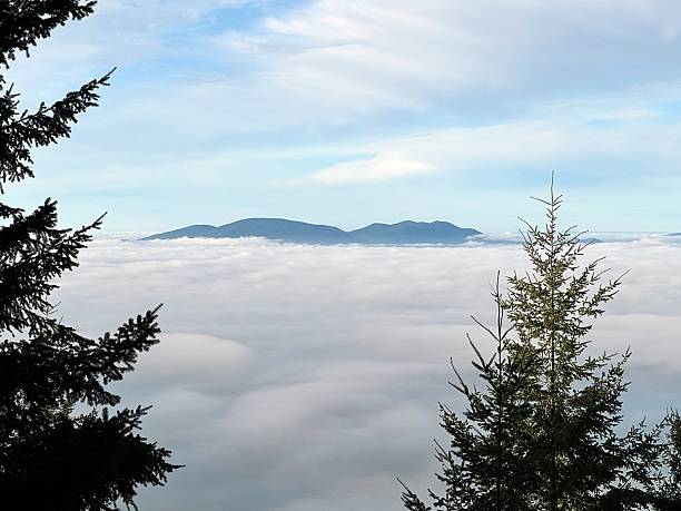 istock Early Winter Hike on Chuckanut Mountain 2254304164