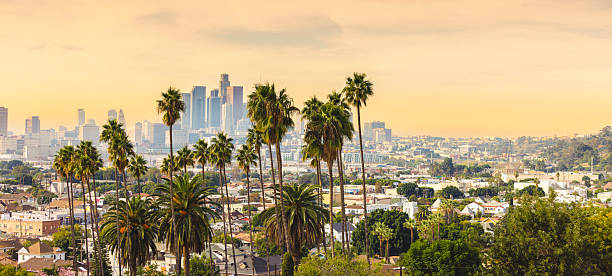 istock Los Angeles California 2254309273