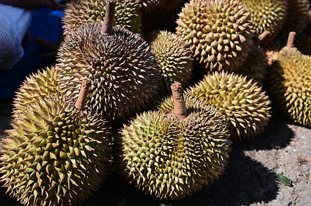 istock The best durian fruit 2254309301