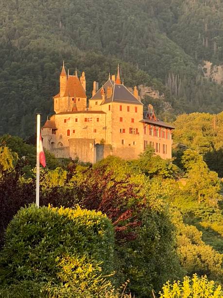 This photo in the Pyrenees was taken on the st. James' way from Saint-Jean-Pied-de-Port.