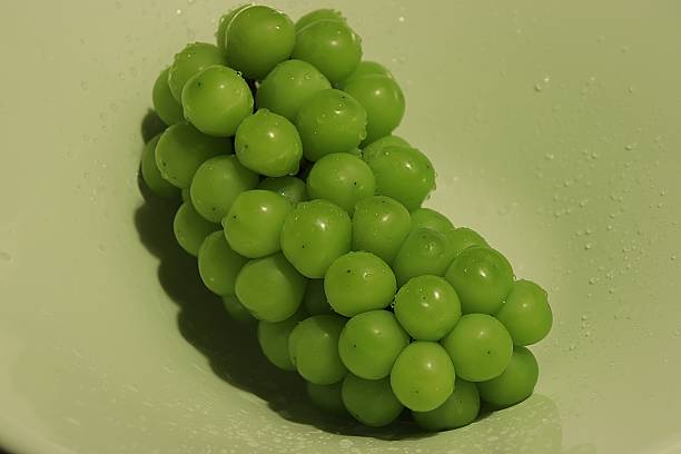 istock Vibrant Green Grapes with Fresh Water Droplets 2254315562