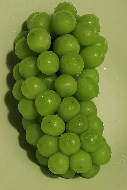 istock Fresh Green Grapes with Dew Drops on Light Green Background 2254315698