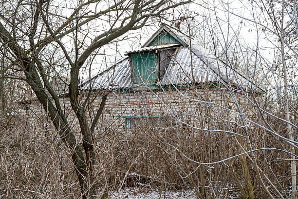 An abandoned Ukrainian house in the bushes. Overgrown village house in winter