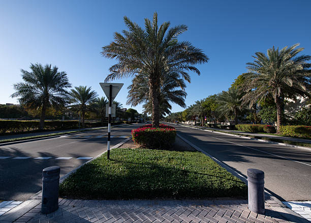 istock Housing Estate 2254317022