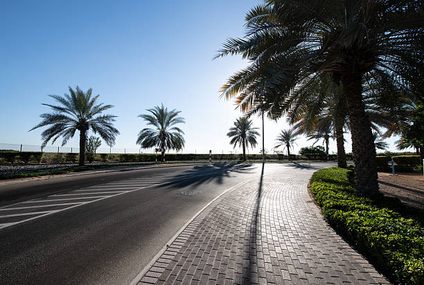 Al Ghadeer residential neighbourhood in Abu Dhabi
