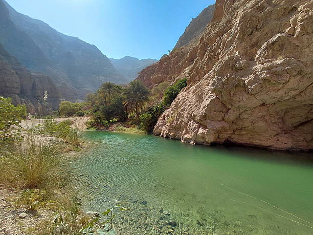 istock Wadi Shab, gorge in Oman 2254320538