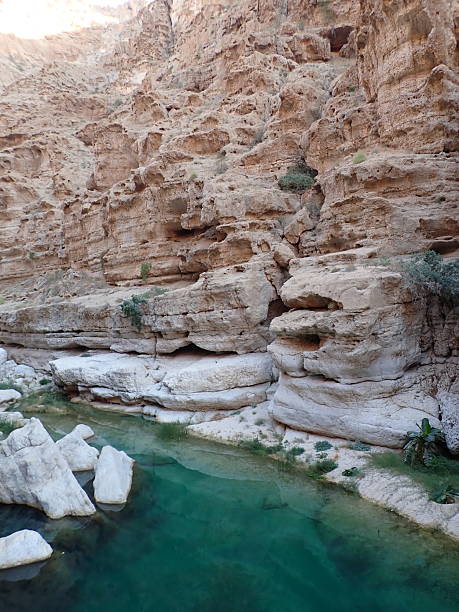 istock Wadi Shab, gorge in Oman 2254320551