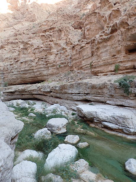 istock Wadi Shab, gorge in Oman 2254320565