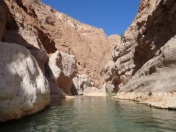 istock Wadi Shab, gorge in Oman 2254320569
