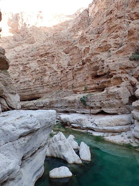 istock Wadi Shab, gorge in Oman 2254320575