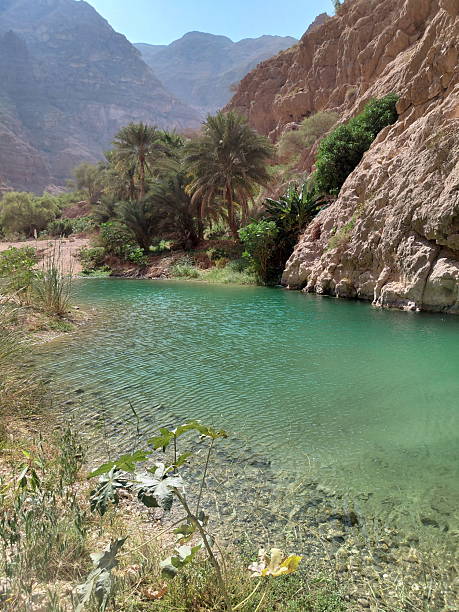 istock Wadi Shab, gorge in Oman 2254320593