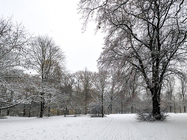 A view of Fontanepromenade from Südstern, Berlin, in winter, covered with snow.