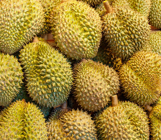 istock A bunch of durians with many spikes 2254321383