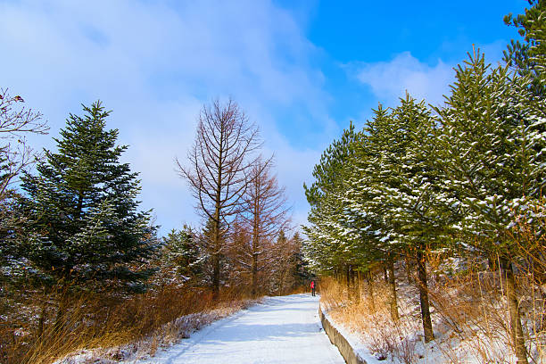 A snow-covered road in the mountains