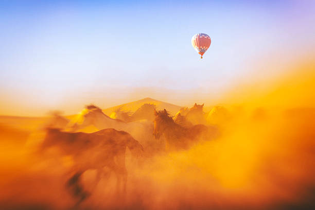 A group of wild horses standing in a dusty paddock during sunrise in Cappadocia, Turkey. The morning mist, soft golden light, and iconic fairy chimneys create a surreal and cinematic atmosphere. Hot air balloons floating in the clear sky complete the dreamy Anatolian landscape.