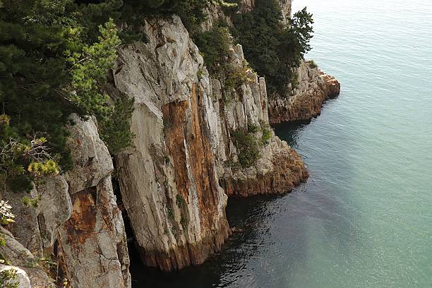 istock Rugged Coastal Cliffs with Pine Trees and Emerald Sea 2254323674
