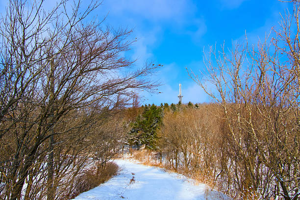 A serene winter landscape shows a snowy shoreline adjacent to a river Leafless trees line the banks and the sky reflects warm colors as the sun sets.