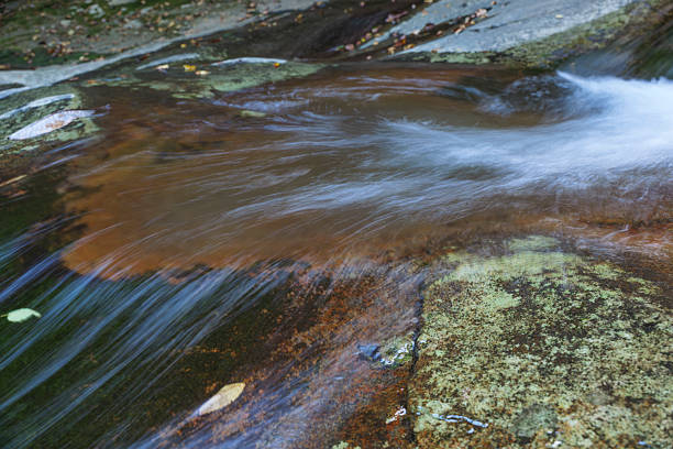 Forest streams, beautiful rivers, water resources, environment, ecology