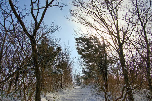 A snow-covered road in the mountains
