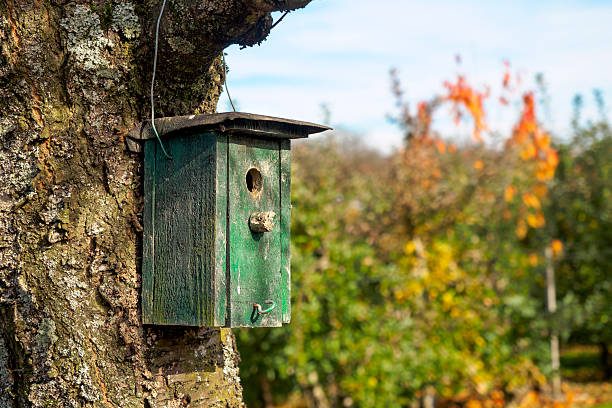 Wooden nesting box for birds on a tree in the garden