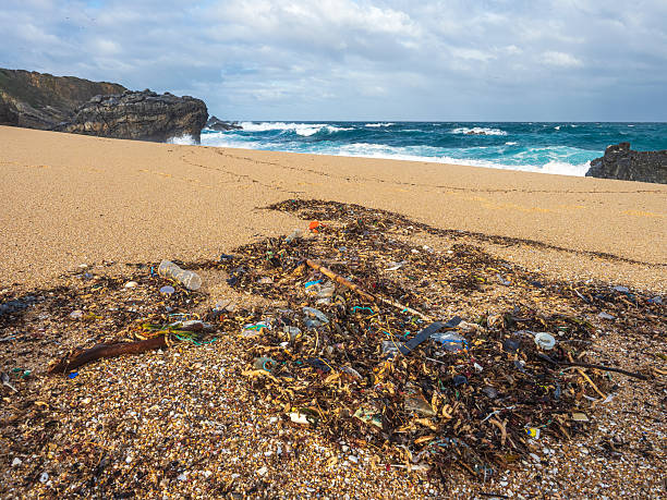 istock Ocean pollution washing ashore, plastic waste littering Sines be 2254326706