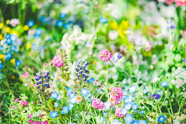 English Garden in April 2025