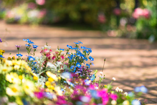 English Garden in April 2025