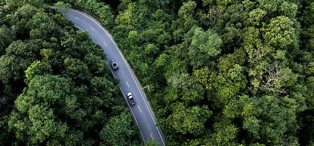 istock Curved Asphalt Road Cutting Through Tropical Forest from Above 2254331470