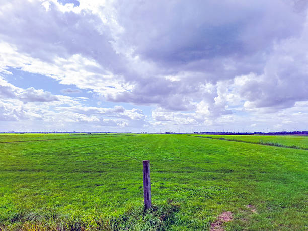 Farmland At Abcoude The Netherlands 17-6-2020