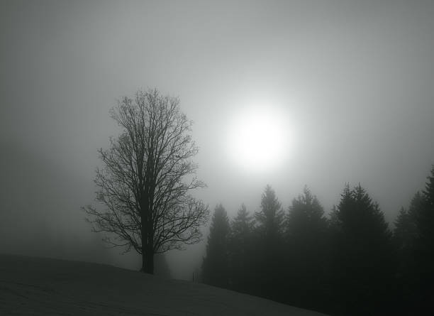 Winter in the Alps, Kleinwalsertal, Austria