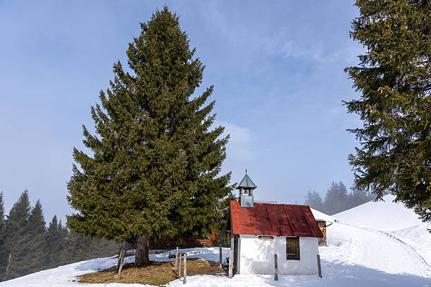 istock Winter in the Alps, Kleinwalsertal, Austria 2254332426