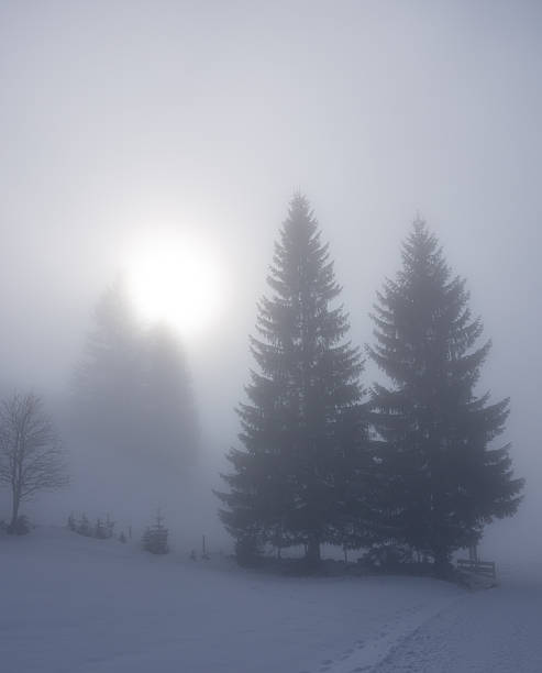 Winter in the Alps, Kleinwalsertal, Austria